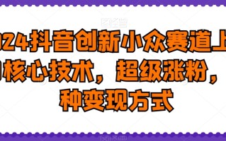 2024抖音创新小众赛道上热门核心技术，超级涨粉，多种变现方式【揭秘】
