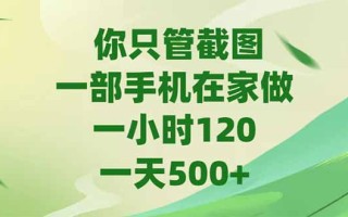 你只管截图，一部手机在家做，一小时120，-天500+