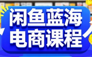 闲鱼蓝海电商课程