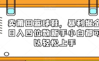 卖莆田篮球鞋，暴利掘金日入四位数新手小白都可以轻松上手【揭秘】
