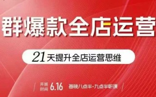 贾真电商群爆款全店运营，21天提升全店运营思维，起店、全店运营爆款不断