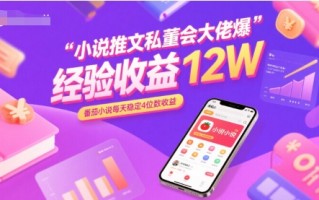 小说推文私董会大佬爆单经验分享收益12W，番茄小说每天稳定4位数收益