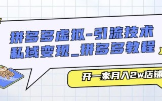 拼多多虚拟-引流技术与私域变现_拼多多教程：开一家月入2w店铺