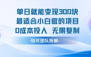 单日就能变现3张最适合小白做的项目0成本投入 无限复制
