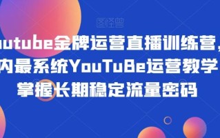Youtube金牌运营直播训练营，国内最系统YouTuBe运营教学，掌握长期稳定流量密码