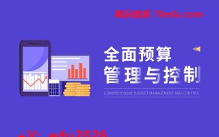 全面预算管理与控制（9集） mp4高清无水印视频教程网盘免费下载