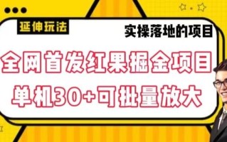全网首发红果免费短剧掘金项目，单机30+可批量放大【揭秘】