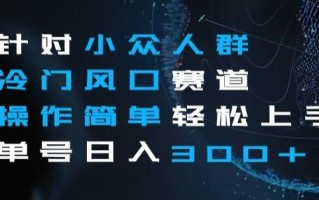 针对小众人群冷门风口赛道，操作简单轻松上手单号日入300+