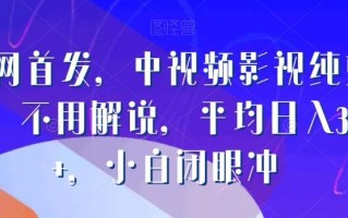 全网首发，中视频影视纯剪辑，不用解说，平均日入300+，小白闭眼冲