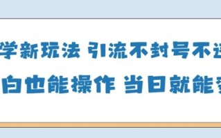 国学新玩法，引流不封号不违规小白也能操作，当日就能变现