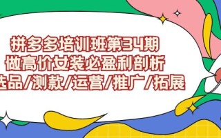 (9333期)拼多多培训班第34期：做高价女装必盈利剖析 选品/测款/运营/推广/拓展