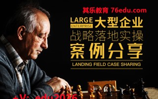 大型企业战略落地实操案例分享（2集） mp4高清无水印视频教程网盘免费下载