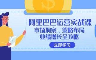 阿里巴巴运营实战课：市场洞察、策略布局、业绩增长全攻略