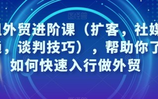 凤姐外贸进阶课（扩客，社媒，沟通，谈判技巧），帮助你了解如何快速入行做外贸