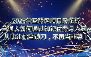2025年互联网项目天花板，普通人如何通过卖项目实现逆风翻盘，月入5W＋！