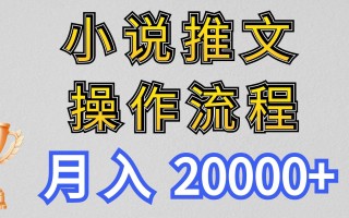 小说推文项目新玩法操作全流程，月入20000+，门槛低非常适合新手