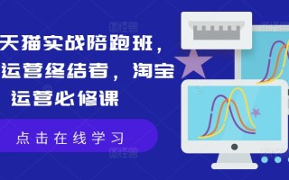 淘宝天猫实战陪跑班，店铺运营终结者，淘宝运营必修课