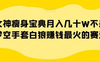女神瘦身宝典月入几十W不是梦空手套白狼赚钱最火的赛道【揭秘】