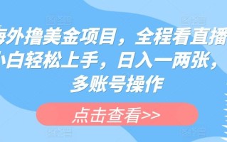 海外撸美金项目，全程看直播，小白轻松上手，日入一两张，可多账号操作【揭秘】