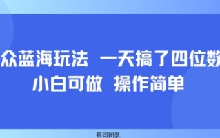 小众蓝海玩法 一天搞了四位数 小白可做 操作简单