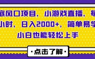 年底风口项目，小游戏直播，每天两小时，日入2000+，简单易学，小白也能轻松上手