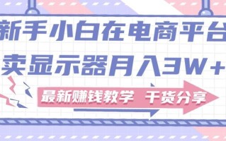 新手小白如何做到在电商平台卖显示器月入3W+，最新赚钱教学干货分享