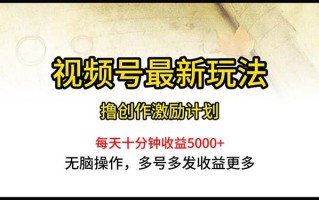 视频号最新玩法，每日一小时月入5000+