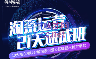 淘系运营21天速成班(更新7月)