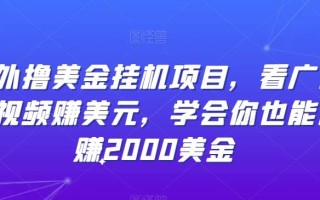 海外撸美金挂机项目，看广告刷视频赚美元，学会你也能月赚2000美金
