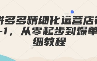 拼多多精细化运营店铺0-1，从零起步到爆单详细教程