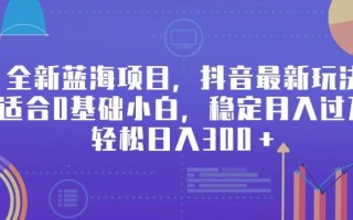 全新蓝海项目，抖音最新玩法，适合0基础小白，稳定月入过万，轻松日入300＋