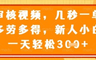 视频审核员，几秒一单，不限时间，不限地点，多做多得，新人小白一天轻松几张+【揭秘】