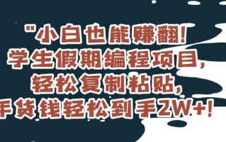 小白也能赚翻！学生假期编程项目，轻松复制粘贴，年货钱轻松到手2W+【揭秘】