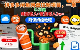 拼多多闲鱼网盘拉新项目，一单5-15米，睡后收入+管道收入1w+(附保姆级教程)