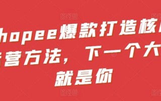 Shopee爆款打造核心运营方法，下一个大卖就是你
