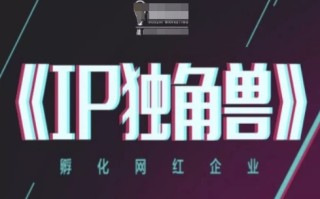 IP独角兽，孵化网红企业，ip教程