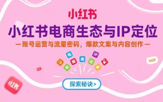 小红书电商生态与IP定位，账号运营与流量密码，爆款文案与内容创作