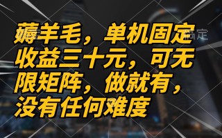薅羊毛项目，单机三十元，做就有，可无限矩阵 无任何难度