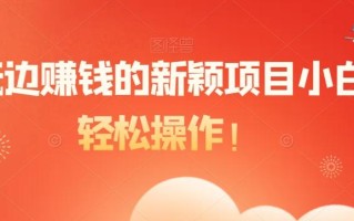 边玩边赚钱的新颖项目小白可轻松操作！
