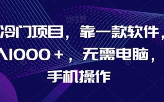 AI冷门项目，靠一款软件，日入1000＋，无需电脑，可手机操作【揭秘】