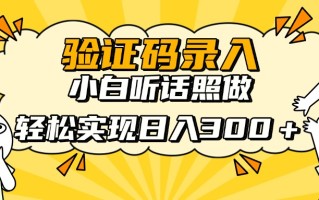 信息录入项目，10秒一单，新手小白听话照做快速上手，实现日入300＋