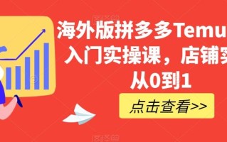 海外版拼多多Temu快速入门实操课，店铺实战从0到1