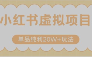 小红书卖虚拟产品，单品纯利20W+玩法分享（节系列课程）