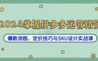 2024掌握拼多多运营精髓：爆款流程、定价技巧与SKU设计实战课