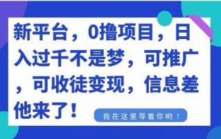 不要再花冤枉钱了，0撸项目，每天坚持，稳定1000+
