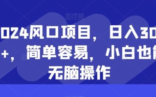 2024风口项目，日入3000+，简单容易，小白也能无脑操作