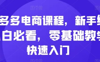 拼多多电商课程，新手纯小白必看，零基础教学快速入门