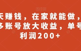 聊天赚钱，在家就能做，可以多账号放大收益，单号日利润200+