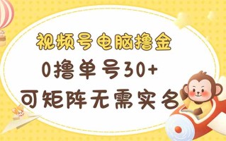 视频号电脑撸金 0撸单号30+ 可矩阵 无需实名多号多得