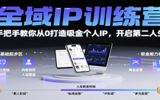 全域IP训练营，手把手教你从0打造吸金个人IP，开启第二人生！